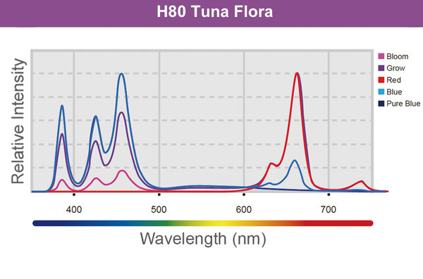 Kessil LED H80 Tuna Flora